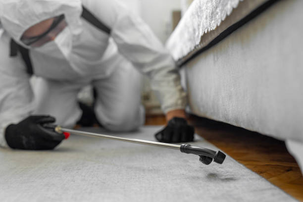 Professional Bed Bug Control technician working in Thomas County County, GA